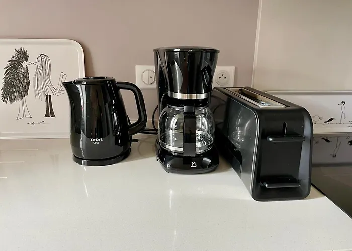 公寓 Au Coeur De L'avenue Lajarige La Baule